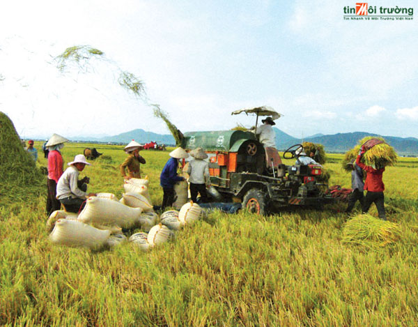 Trà[-]Vinh[-]kiên[-]quyết[-]giải[-]thể[-]các[-]hợp[-]tác[-]xã[-]đã[-]ngưng[-]hoạt[-]động
